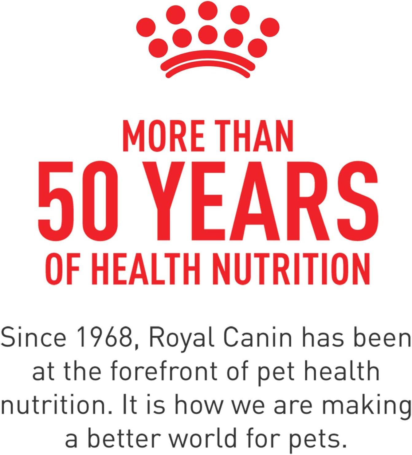 Royal Canin Poodle Puppy Dry Dog Food - 2.5 lb for Healthy Growth