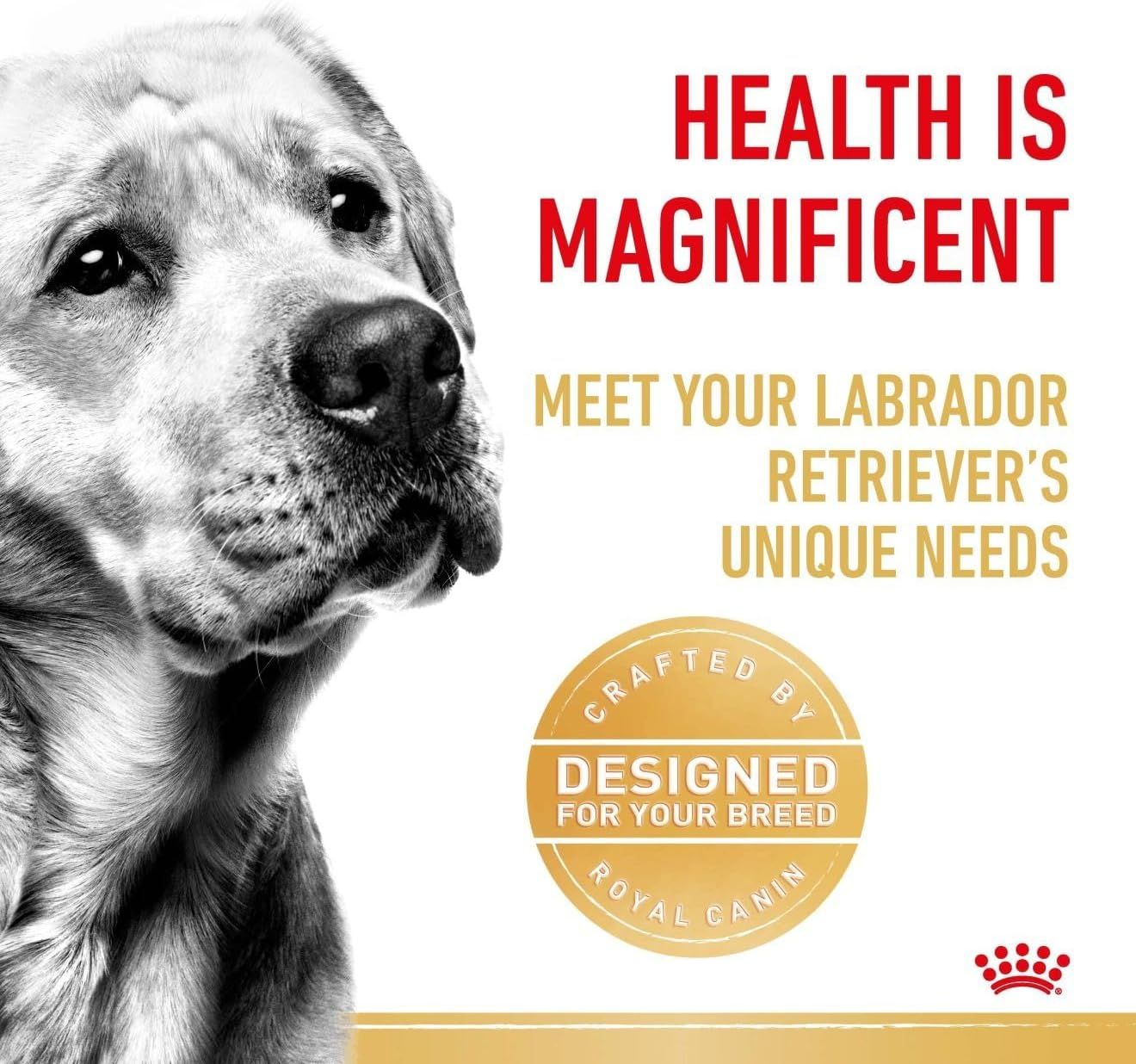 Royal Canin Labrador Retriever Adult Wet Dog Food - 140g Can