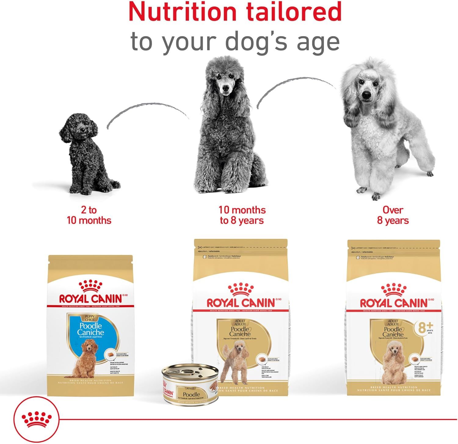 Royal Canin Poodle Puppy Dry Dog Food - 2.5 lb for Healthy Growth
