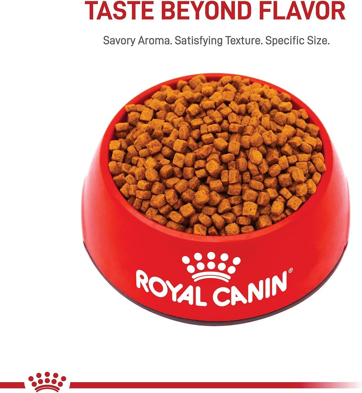 Royal Canin Poodle Puppy Dry Dog Food - 2.5 lb for Healthy Growth