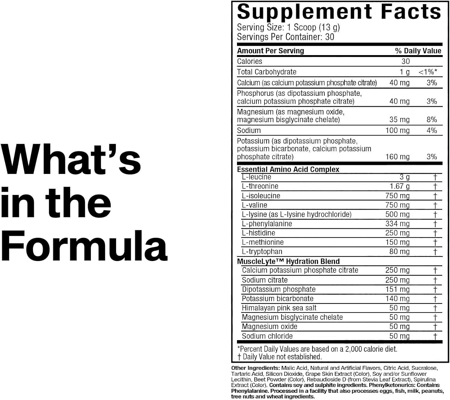 Muscletech Essential Amino Acids Supplement with Electrolytes | Pre-Workout Energy & Recovery | 387g