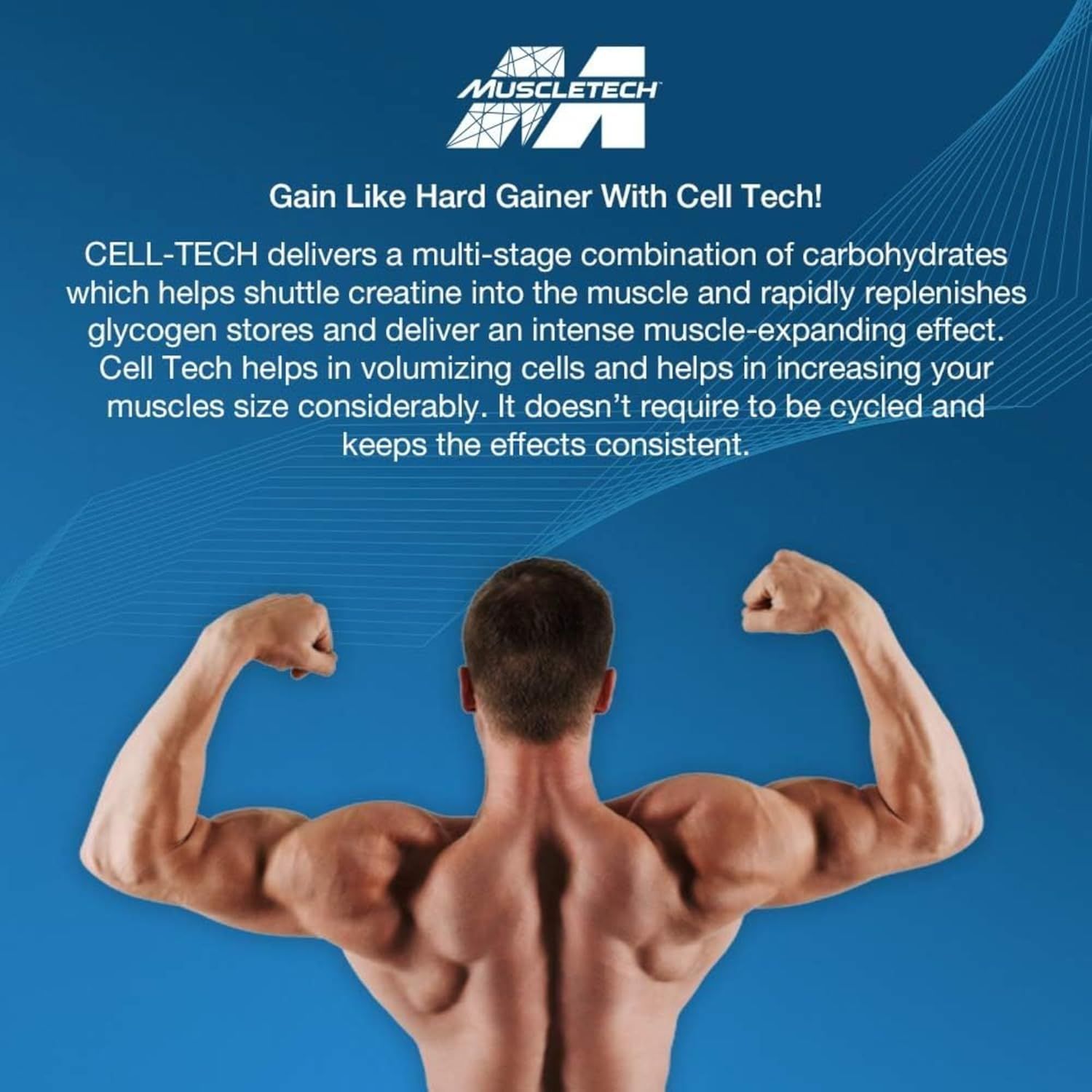 MuscleTech Cell Tech Creatine Powder - Ultimate Muscle Builder & Recovery, Fruit Punch, 6 lbs