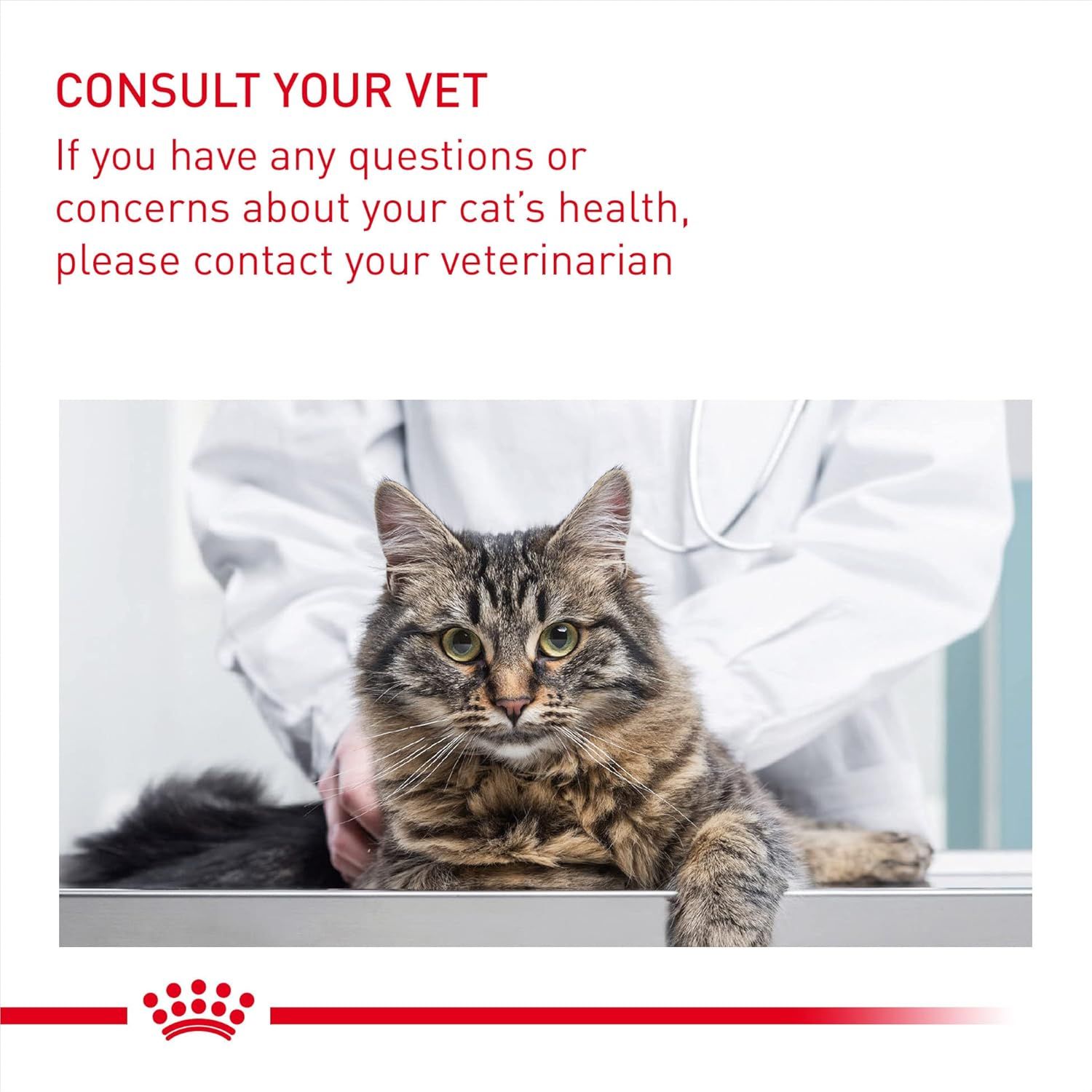 Royal Canin Feline Health Nutrition Gravy Wet Food for Adult Cats - 12 Packs of 85g