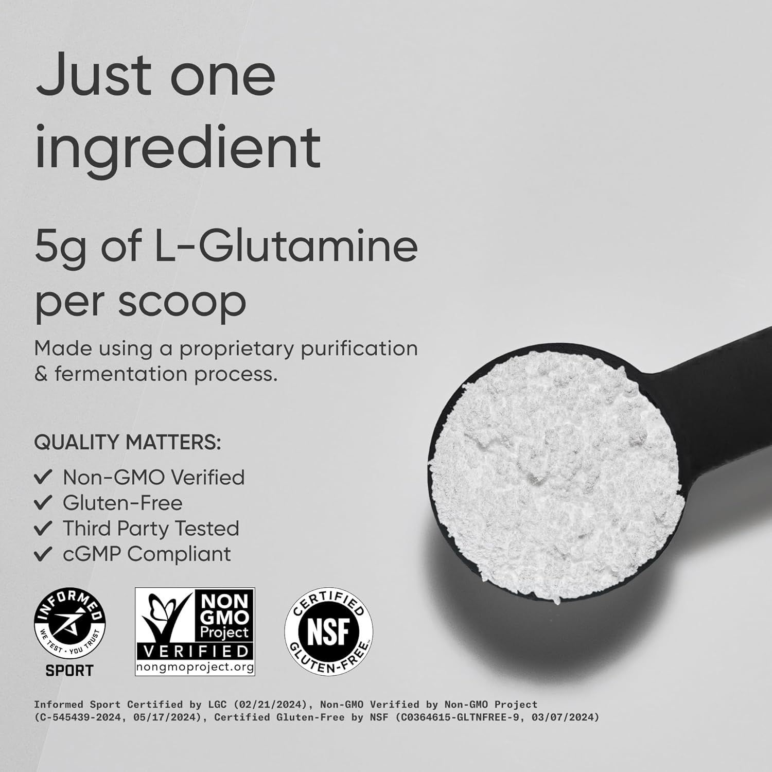 Sports Research L-Glutamine Powder - 5g for Recovery & Gut Health - 10.58 Oz