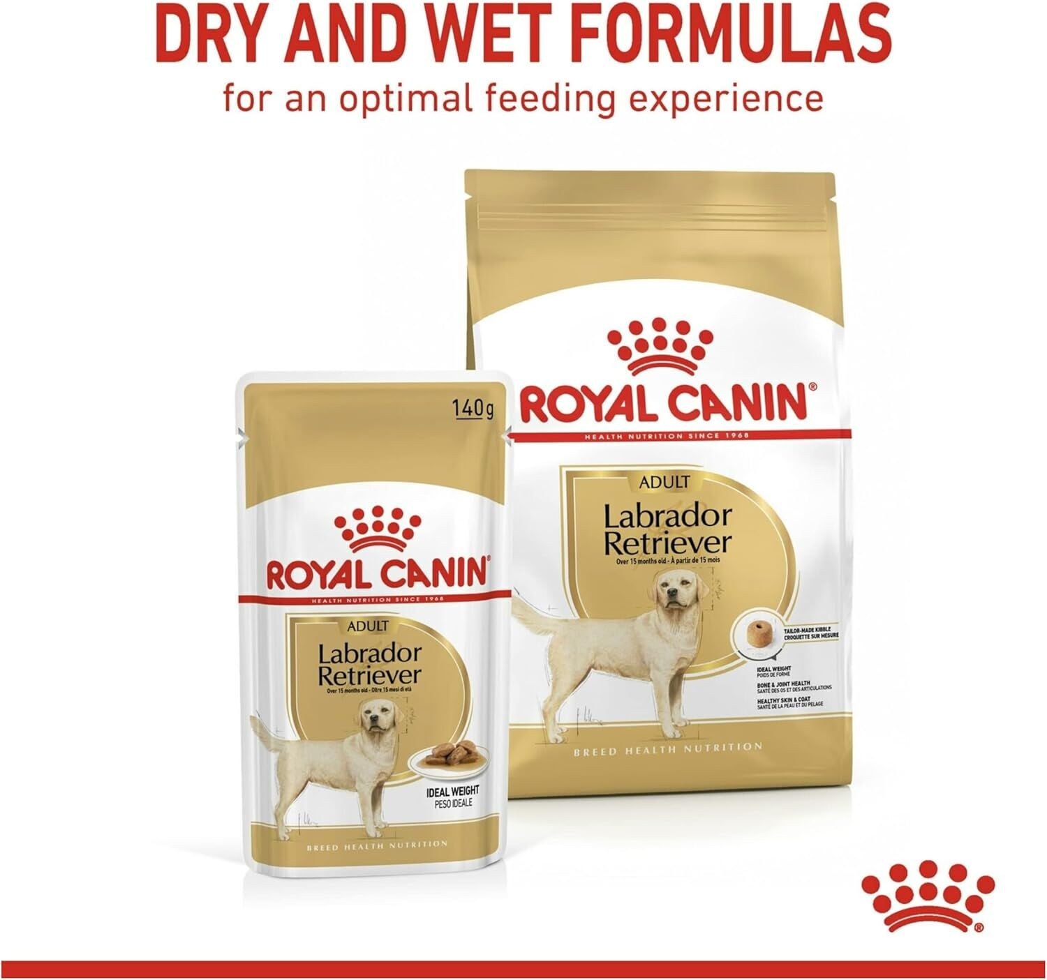 Royal Canin Labrador Retriever Adult Wet Dog Food - 140g Can