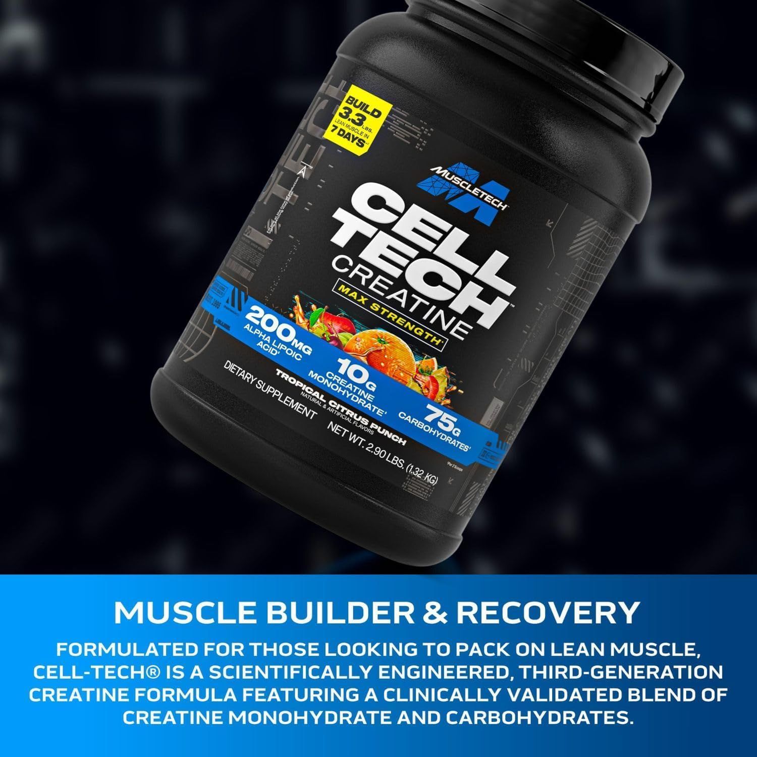 MuscleTech Cell-Tech Creatine Monohydrate Powder - Tropical Citrus Punch