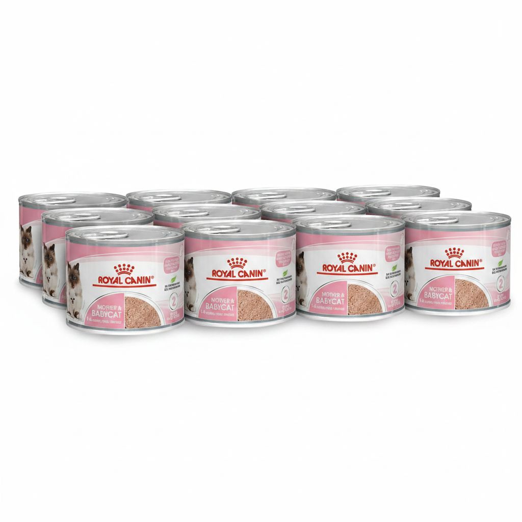 Royal Canin Mother & Babycat Wet Cat Food - Essential Nutrition for Kittens & Queens