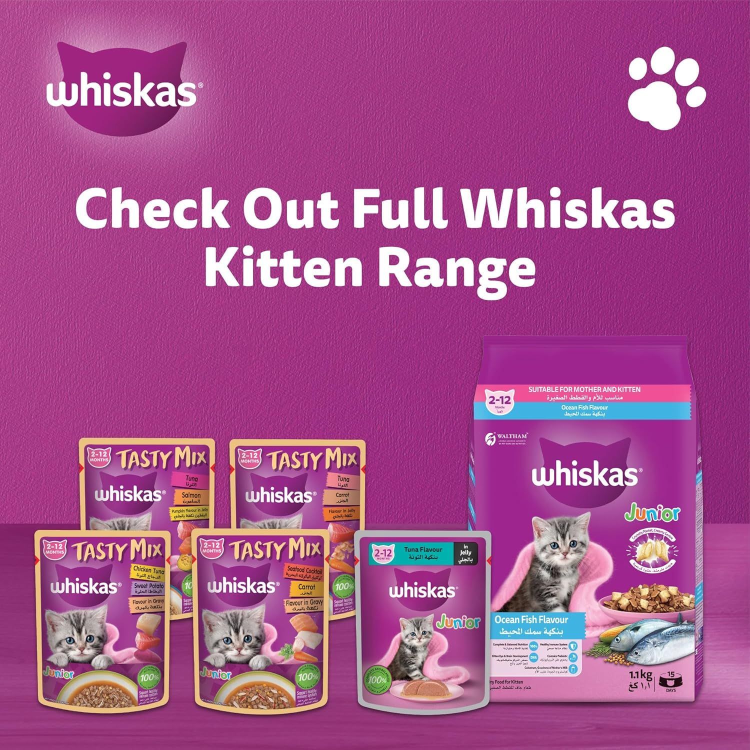 Whiskas Junior Tuna in Jelly Mega Pack - Complete Kitten Nutrition