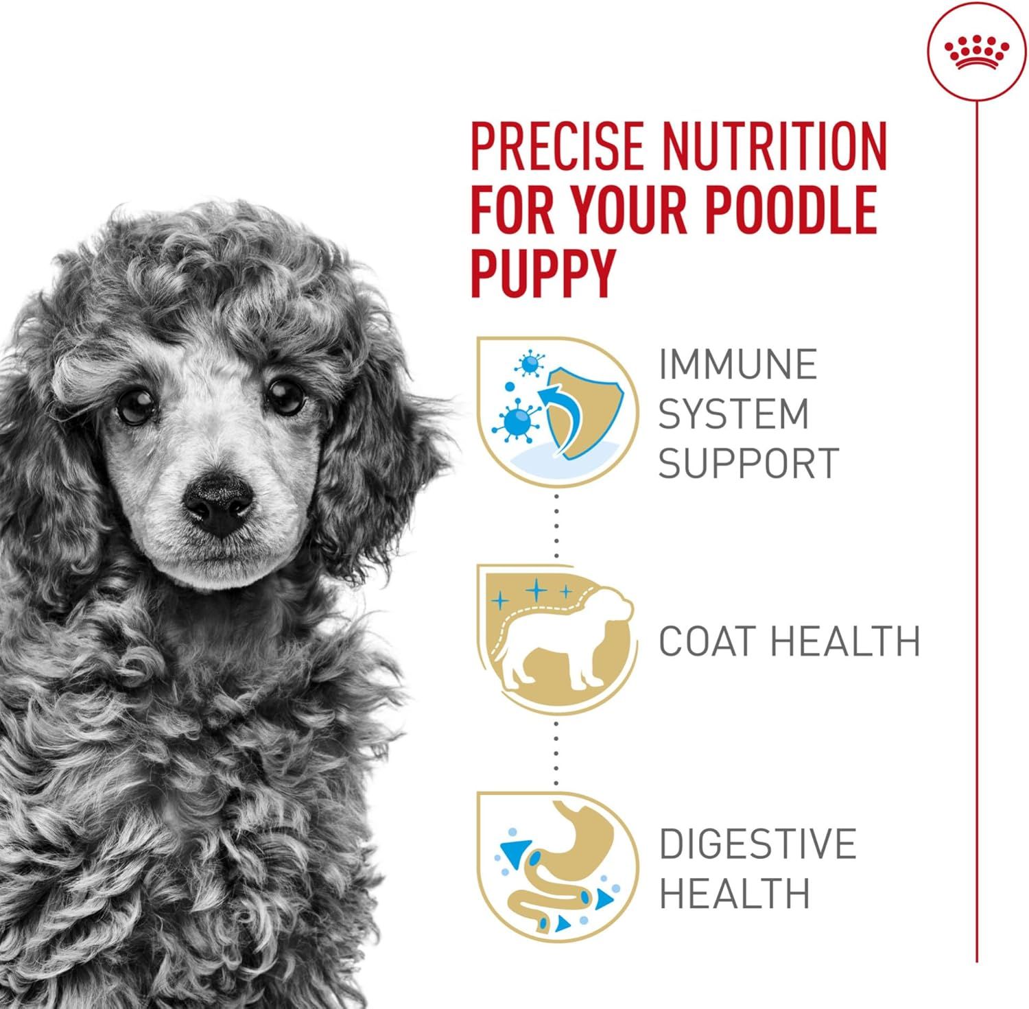 Royal Canin Poodle Puppy Dry Dog Food - 2.5 lb for Healthy Growth