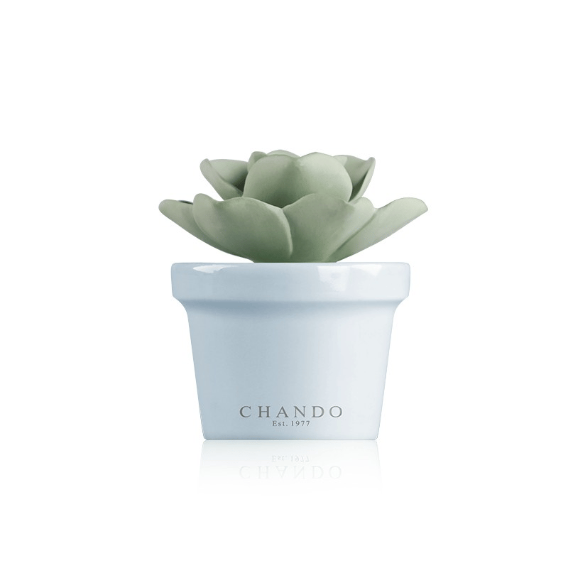 Chando Aroma Porcelain Diffuser Mini Succulent, White Tide Fragrance, Long-Lasting Home Aroma, Decorative Ceramic Design for Rooms up to 4sqm - 40ml 