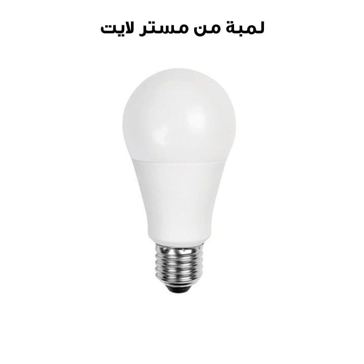 Mr. Light Bulb | MR.10
