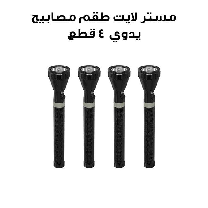 Mr. Light 4-Pcs Torch Combo | MR 3020