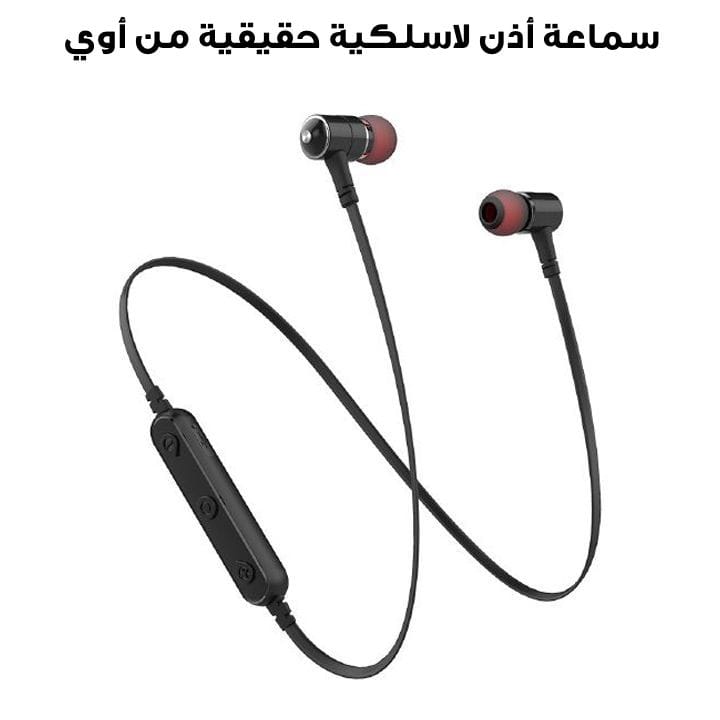 Awei Sports Earphone | B930BL