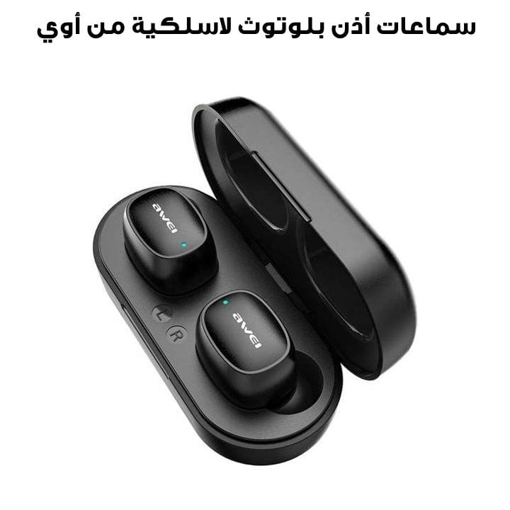 Awei Bluetooth 5.0 Wireless Waterproof Earphones with Dynamic Speaker | T13