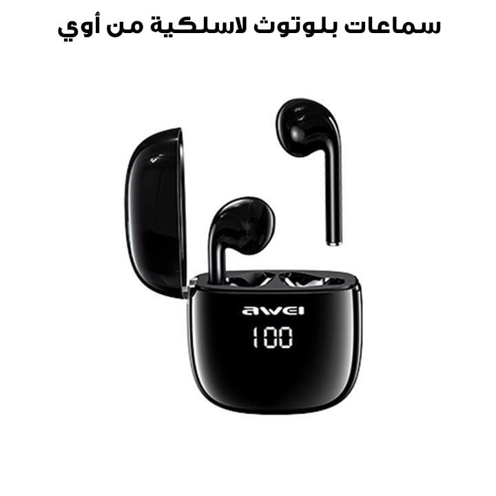 Awei True Wireless Bluetooth Earphones | T28P