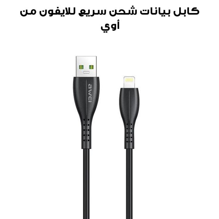 Awei iPhone Fast Charge Data Cable | CL-115L