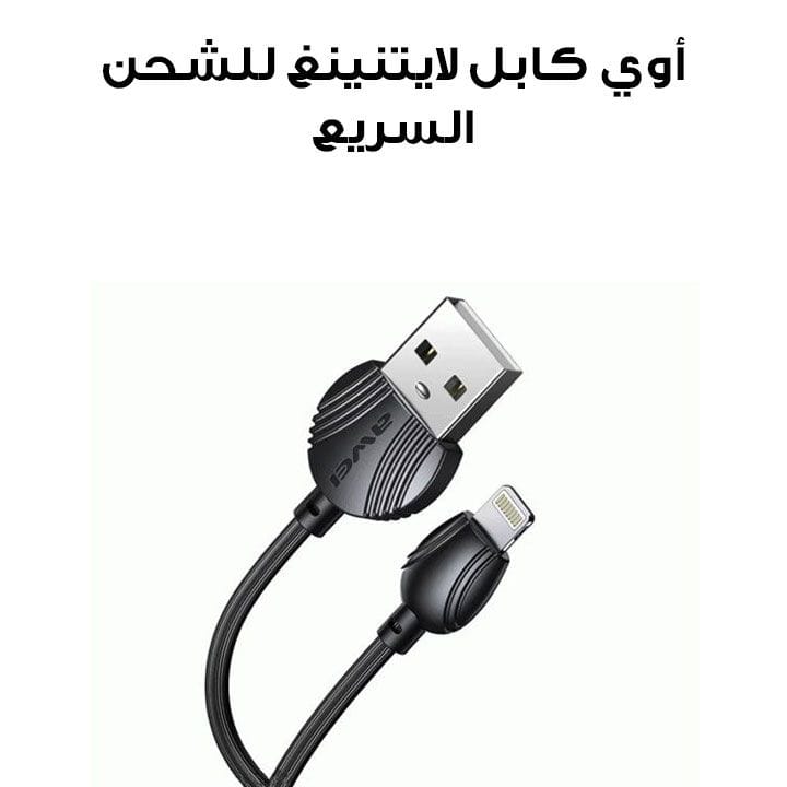 Awei iPhone Fast Charging Lightning Cable | CL-61