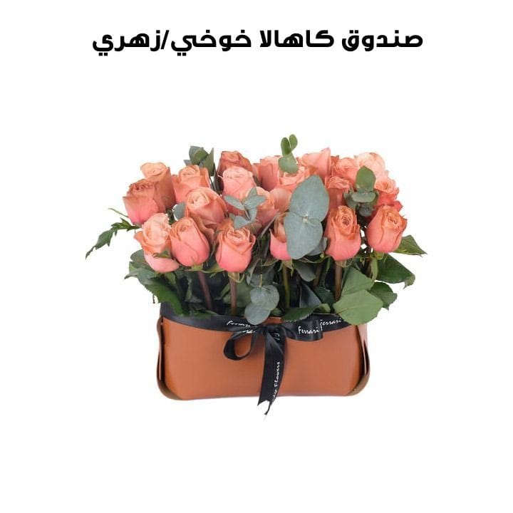 Boxed Kahala | Peach/Pink