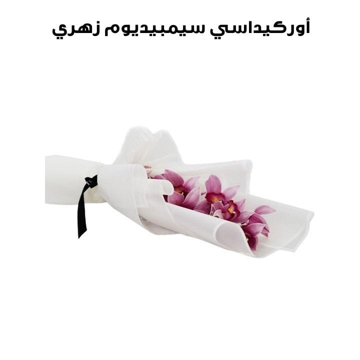 أوركيداسي سيمبيديوم | زهري