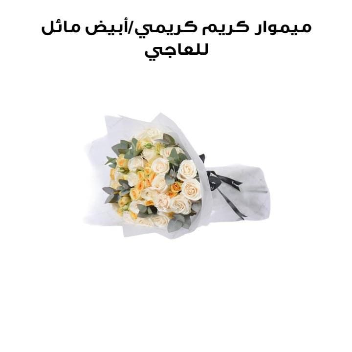 Memoire Cream | Cream/Off-White