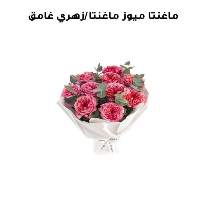 ماغنتا ميوز | ماغنتا / زهري غامق