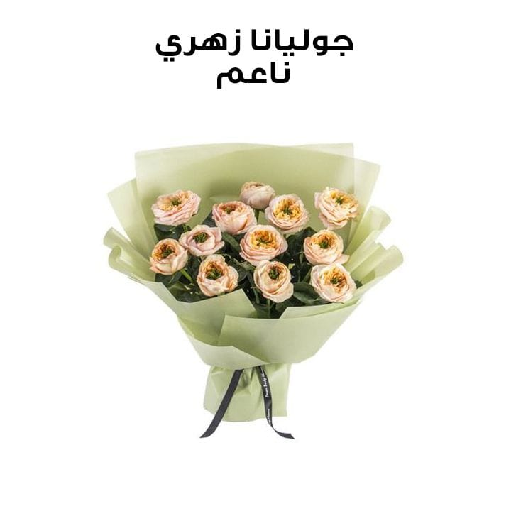 جوليانا | زهري ناعم