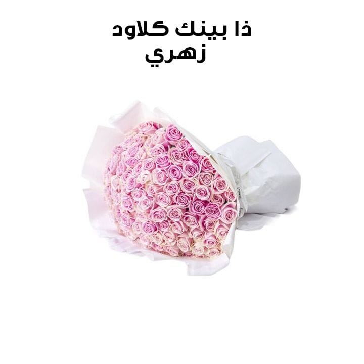 The Pink Cloud | Pink