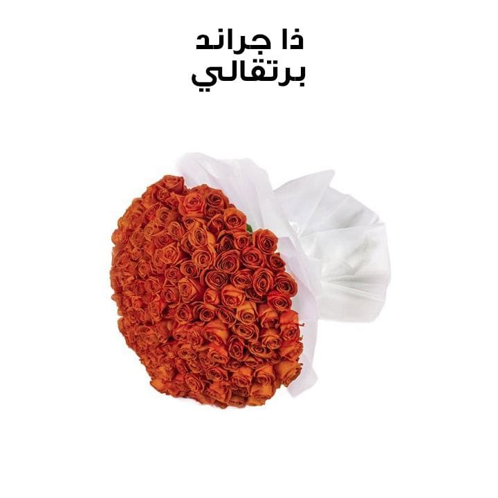 ذا جراند | برتقالي