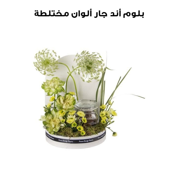 Bloom & Jar | Mixed Colors