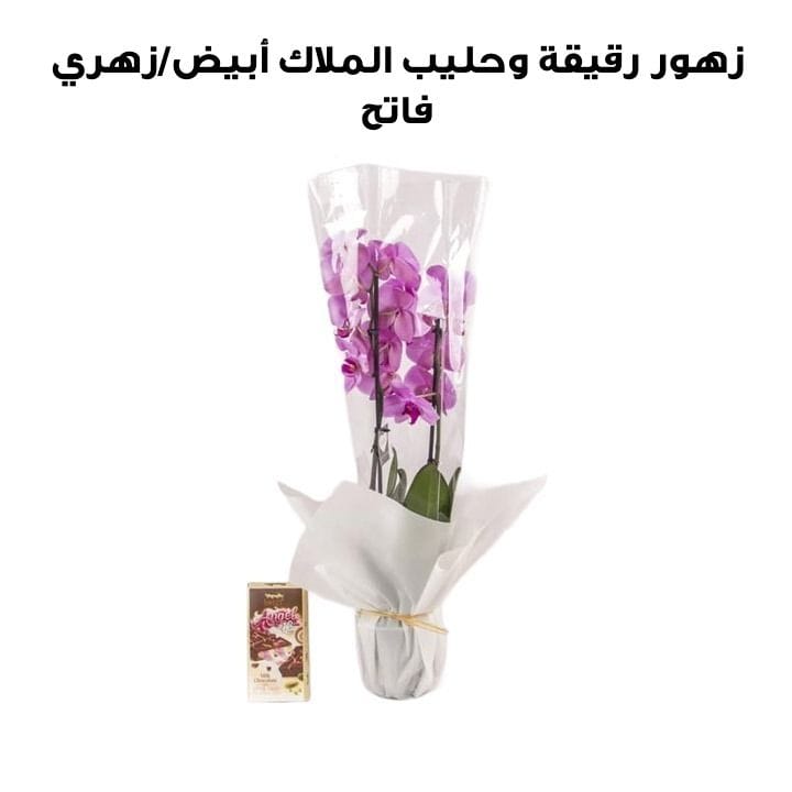 Delicate Blooms and Angel Milk | White/Light Pink