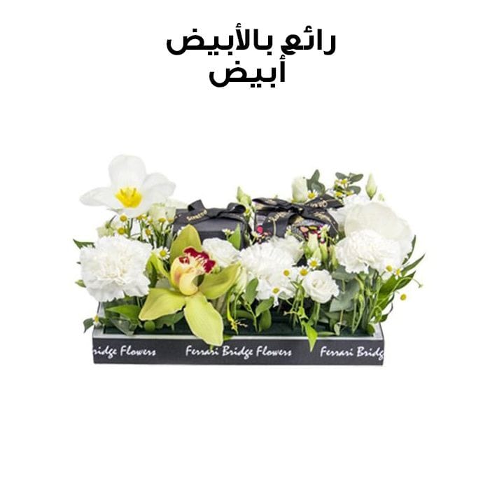 رائع بالأبيض | أبيض