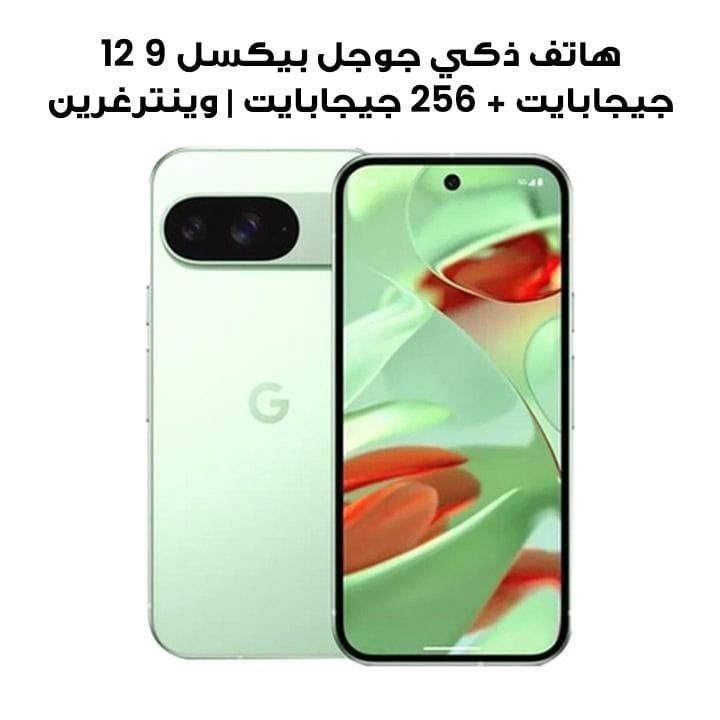 Buy Google Pixel 9 12GB+256GB Smartphone | Wintergreen Online in