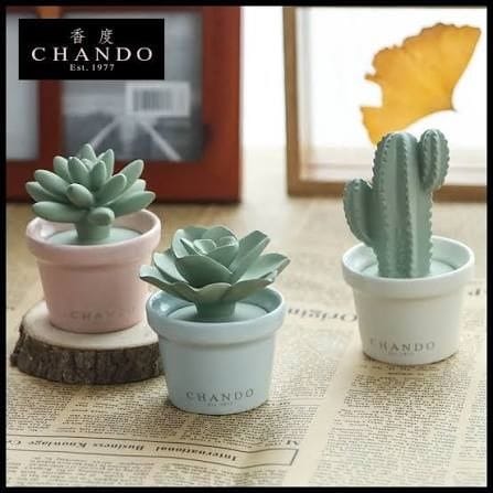 Chando Mini Succulent Pack Reed Diffuser Set 3 x 40ml Home Fragrance Diffusers