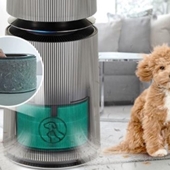 LG Puricare 360° Alpha Air Purifier with Allergy Care & Pet Mode | AS10GDBY0