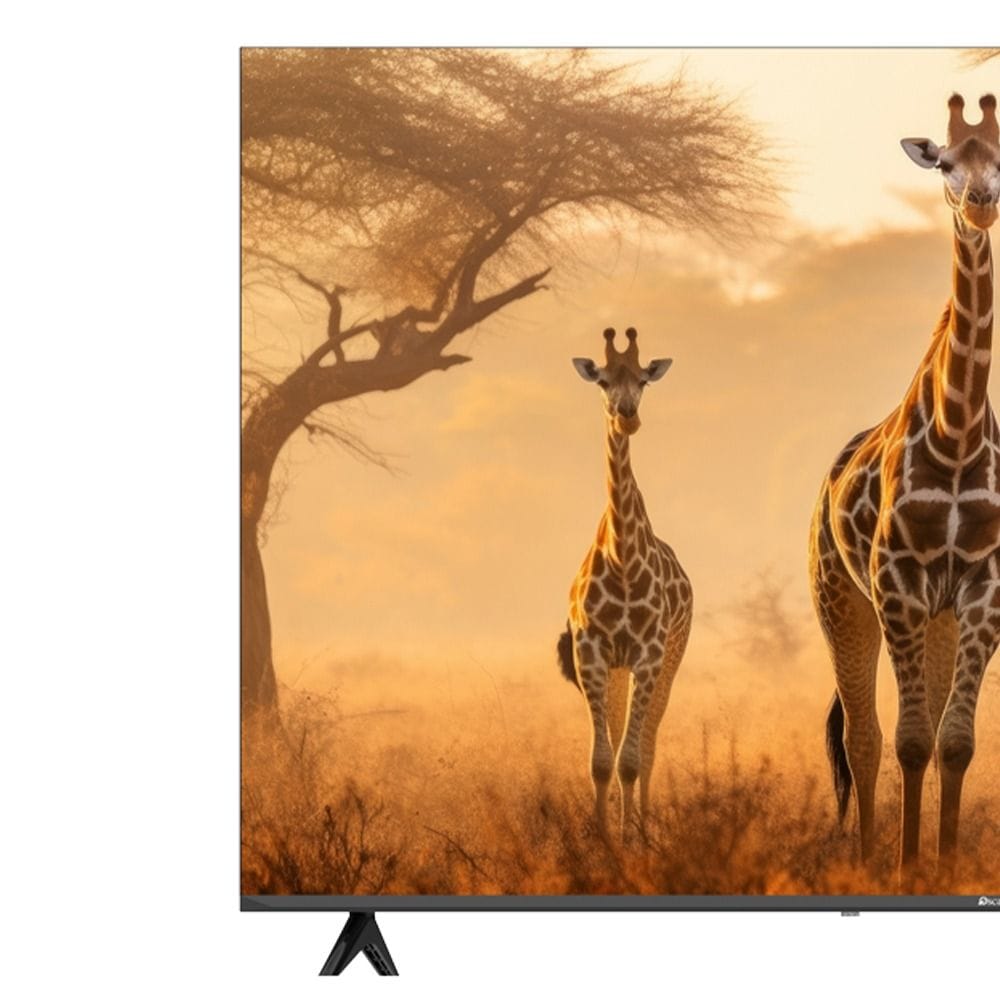 Oscar 55" Frameless QLED 4K UHD Smart WebOS TV, HDR10, Magic Remote, DVB-T2/S2 & CI Slot | Azeri - OS55QSW4KA
