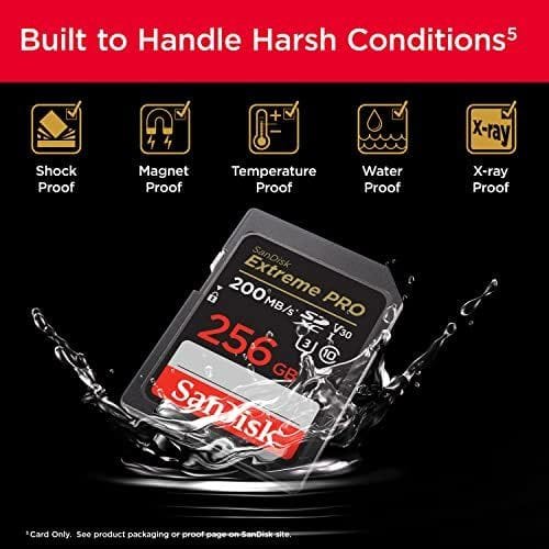 سانديسك إكستريم برو SD سعة 256 جيجابايت لتصوير فيديو 4K، UHS-I، فئة 10، U3، V30، أسود