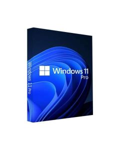 WINDOWS 11 PRO 64BIT QA