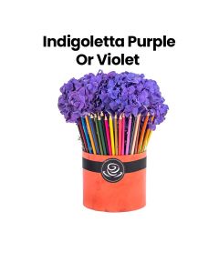 IndigoLetta | Purple/Violet