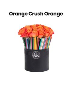 Orange Crush | Orange