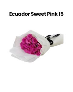 Ecuador Sweet Pink 15 | Light Pink