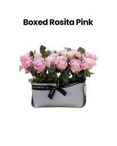 Boxed Rosita | Pink