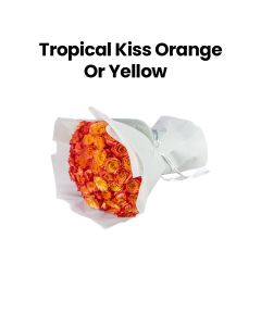 Tropical Kiss | Orange/Yellow