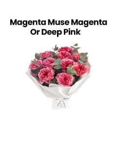 Magenta Muse | Magenta/Deep Pink