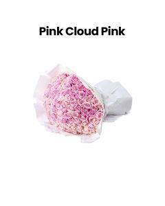 The Pink Cloud | Pink