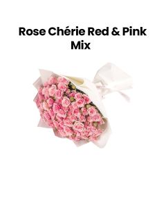Rose Chérie | Red & Pink Mix