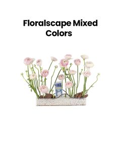 Floralscape | Mixed Colors
