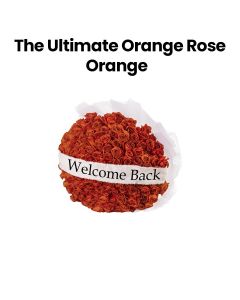 The Ultimate Orange Rose | Orange