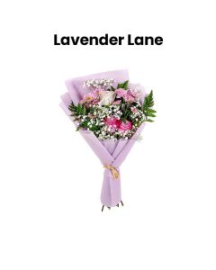 Lavender Lane
