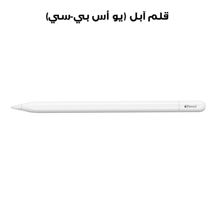 Buy Apple Pencil USB-C (MUWA3ZM/A)|Jumbosouq