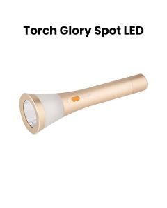 Mr. Light Torch | MR 4000